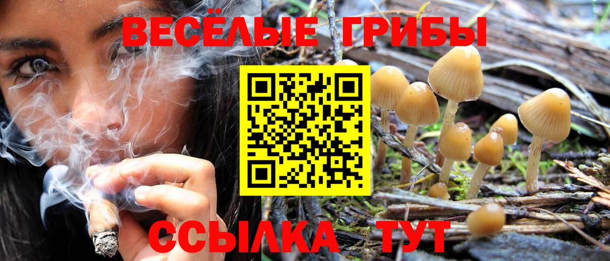 Псилоцибиновые грибы мицелий  Вход с VPN  Среднеуральск 